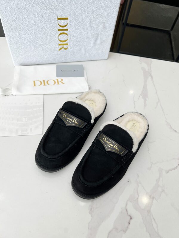 Dior Women's Suede Mules In 2 Colors